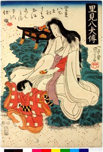 Satomi Hakkenden 里見八犬傳 (History of the Eight Dogs of Satomi) (BM 2008,3037.02704)