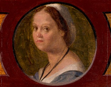 Sarto, Andrea del - The Wife of Domenico da Gambassi. Free illustration for personal and commercial use.