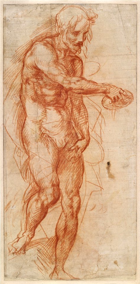 Andrea del Sarto - Study for St John the Baptist - Google Art Project