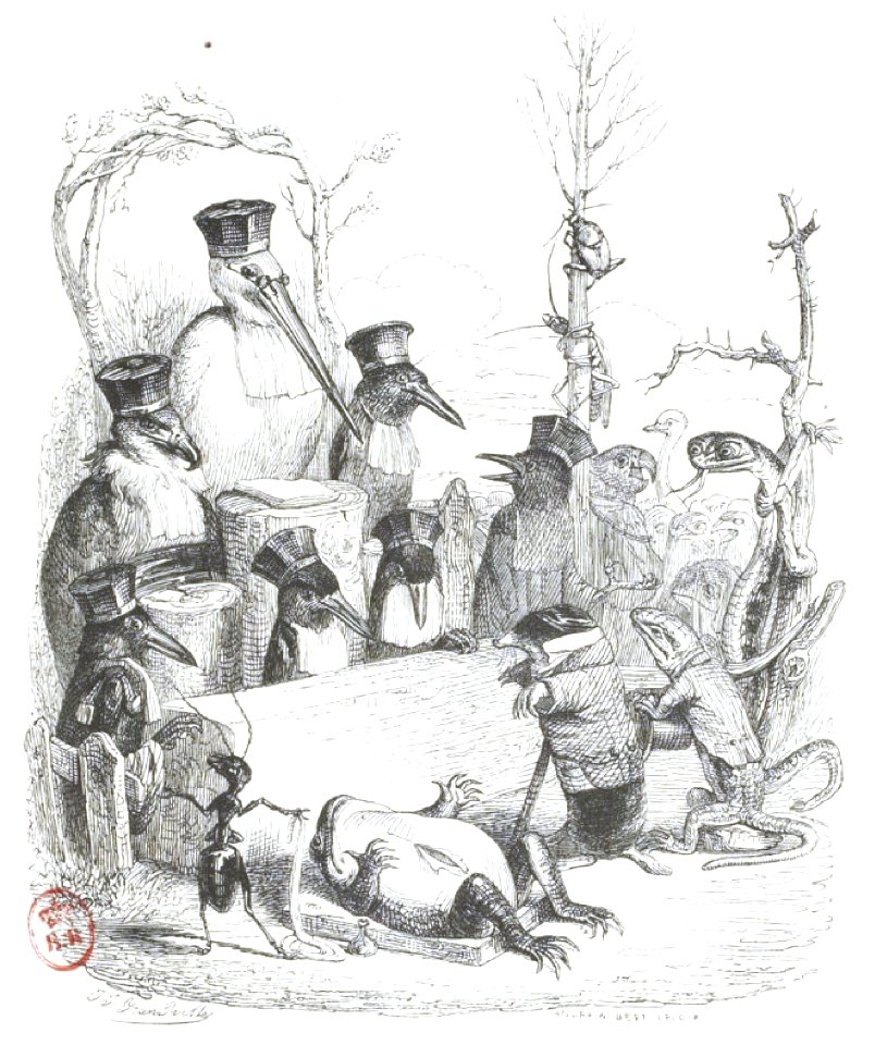 Scènes de la vie privée et publique des animaux, tome 1 0265