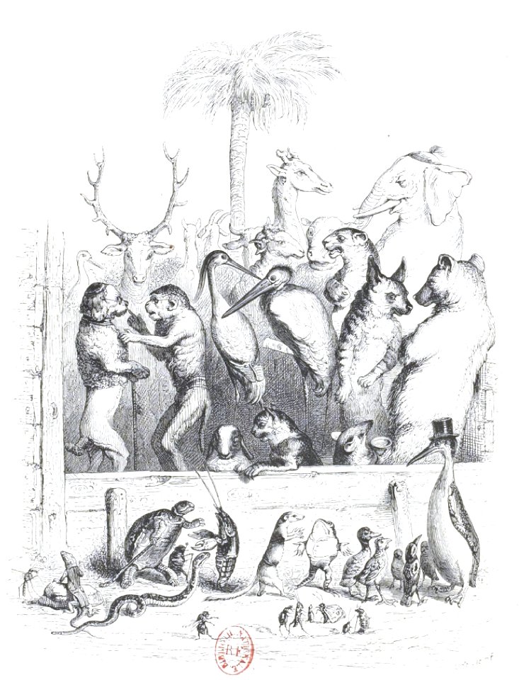 Scènes de la vie privée et publique des animaux, tome 1 0062