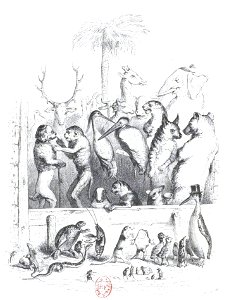 Scènes de la vie privée et publique des animaux, tome 1 0062