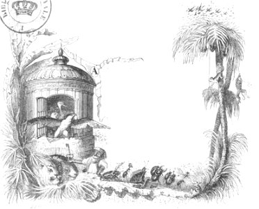 Scènes de la vie privée et publique des animaux, tome 1 0033b