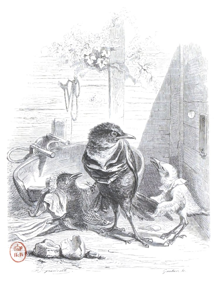 Scènes de la vie privée et publique des animaux, tome 2 0532