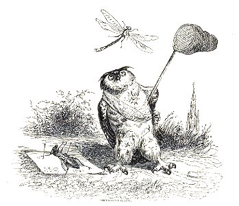 Scènes de la vie privée et publique des animaux, tome 1 0232