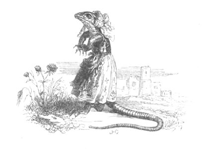Scènes de la vie privée et publique des animaux, tome 1 0543