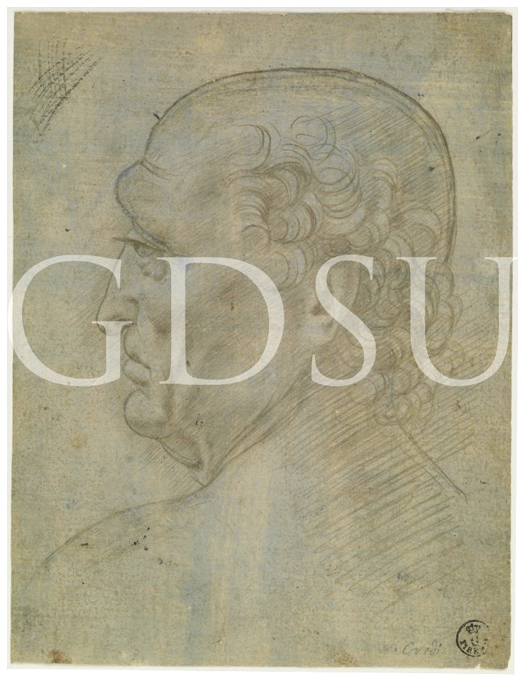 Scuola Leonardo da Vinci - inv 442 E