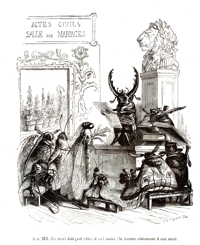 Scènes de la vie privée et publique des animaux, tome 1 0213