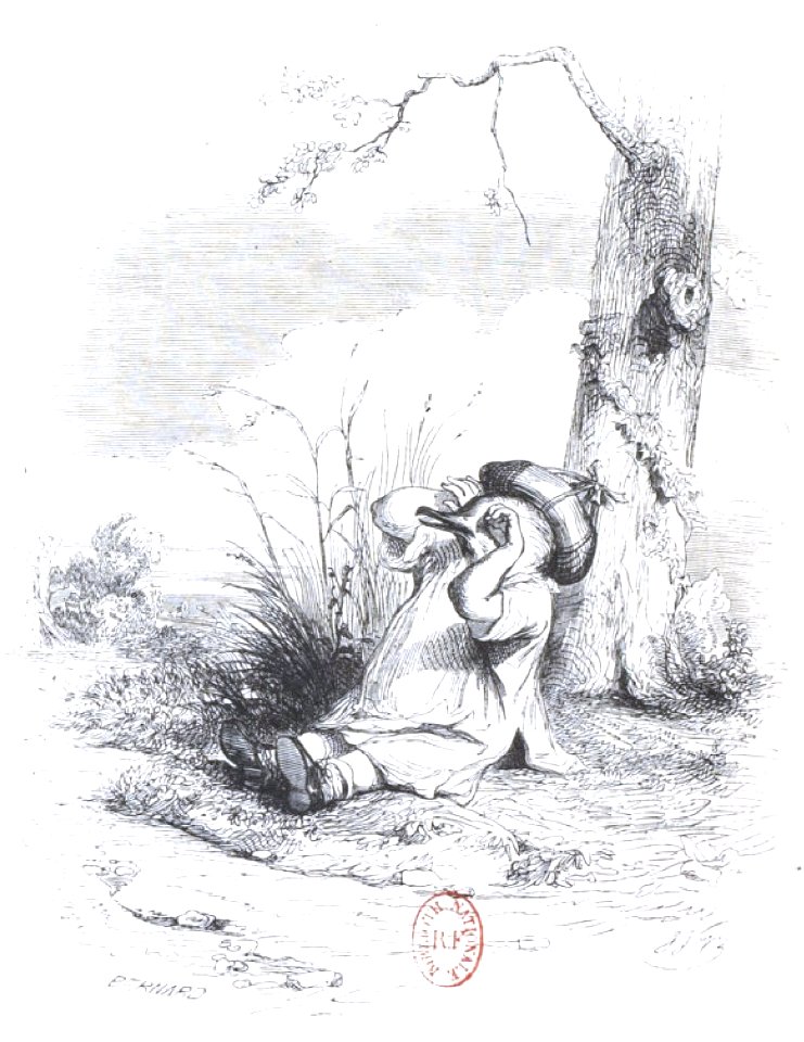 Scènes de la vie privée et publique des animaux, tome 2 0374
