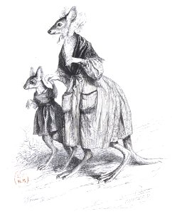 Scènes de la vie privée et publique des animaux, tome 2 0160