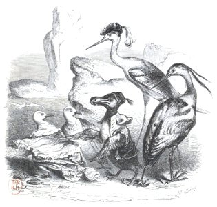 Scènes de la vie privée et publique des animaux, tome 2 0453