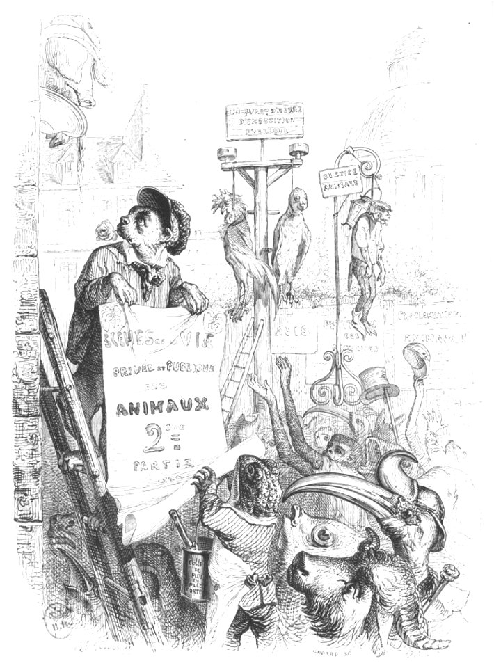 Scènes de la vie privée et publique des animaux, tome 2 0012