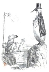 Scènes de la vie privée et publique des animaux, tome 2 0463