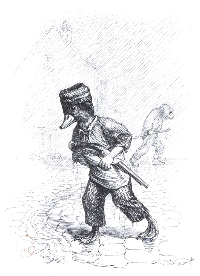 Scènes de la vie privée et publique des animaux, tome 2 0074