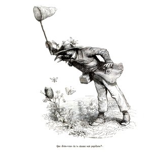 Scènes de la vie privée et publique des animaux, tome 1 0425