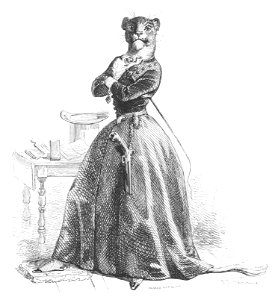 Scènes de la vie privée et publique des animaux, tome 1 0593