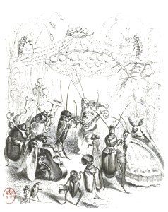 Scènes de la vie privée et publique des animaux, tome 1 0223