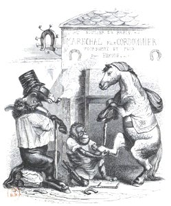 Scènes de la vie privée et publique des animaux, tome 2 0481