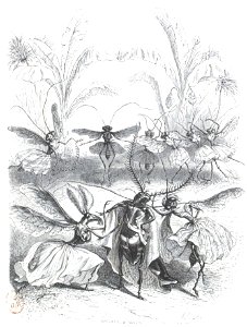 Scènes de la vie privée et publique des animaux, tome 2 0397