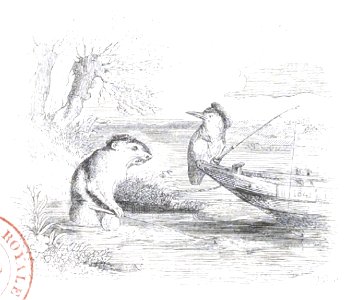 Scènes de la vie privée et publique des animaux, tome 1 0423