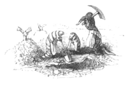 Scènes de la vie privée et publique des animaux, tome 2 0618b