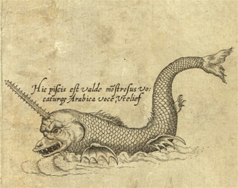 Sea monster art detail, from- Daniel Keller. Asiae nova descriptio (Antwerpen, 1590).L (cropped)