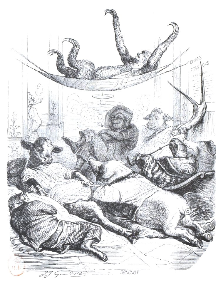 Scènes de la vie privée et publique des animaux, tome 2 0478