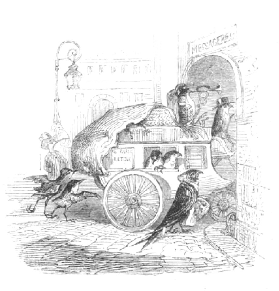 Scènes de la vie privée et publique des animaux, tome 2 0358