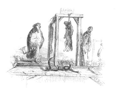 Scènes de la vie privée et publique des animaux, tome 1 0282