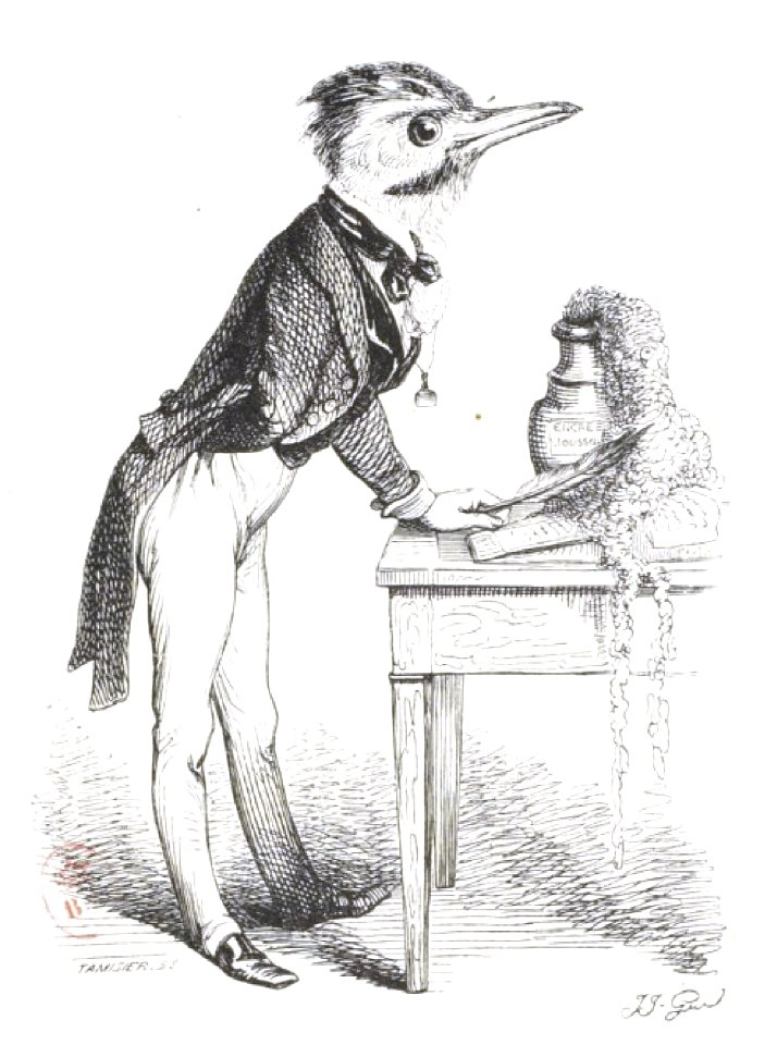 Scènes de la vie privée et publique des animaux, tome 1 0311