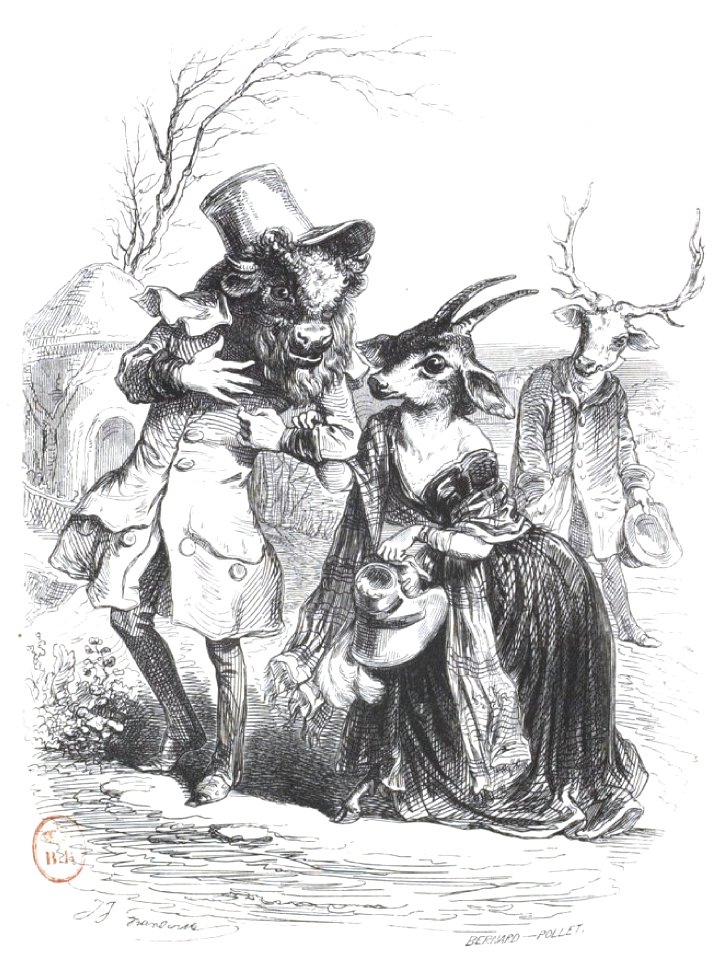 Scènes de la vie privée et publique des animaux, tome 2 0523