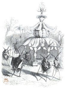 Scènes de la vie privée et publique des animaux, tome 2 0423