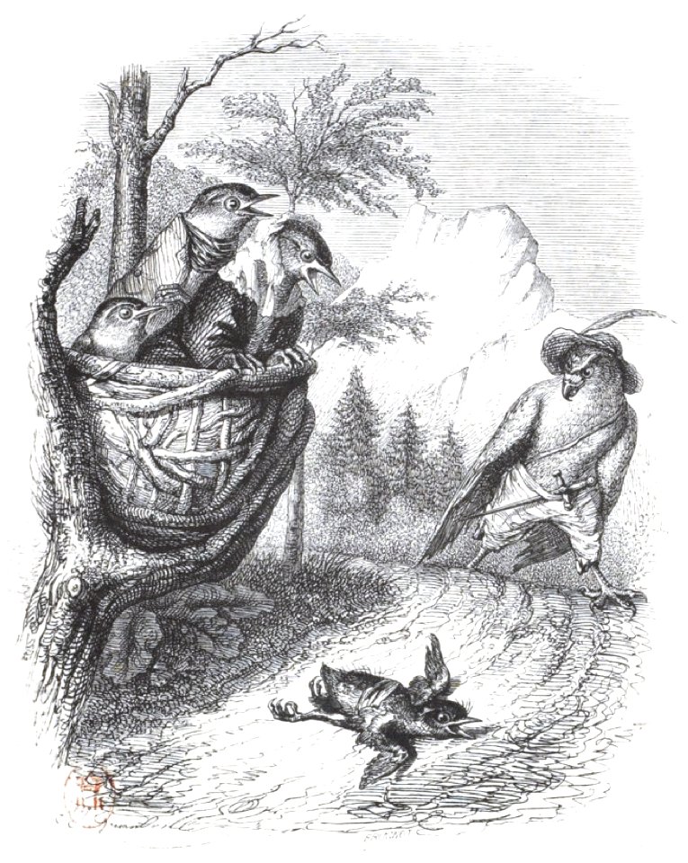 Scènes de la vie privée et publique des animaux, tome 2 0337