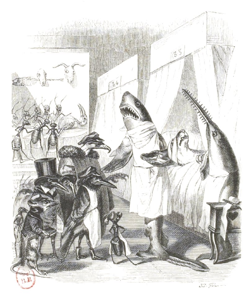 Scènes de la vie privée et publique des animaux, tome 1 0248