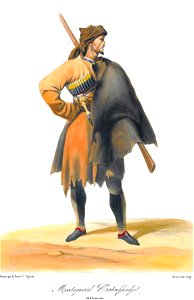Scènes, paysages, moeurs et costumes du Caucase dessinés d'aprés nature par le prince G. Gagarine.2