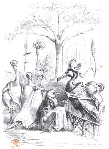 Scènes de la vie privée et publique des animaux, tome 2 0567