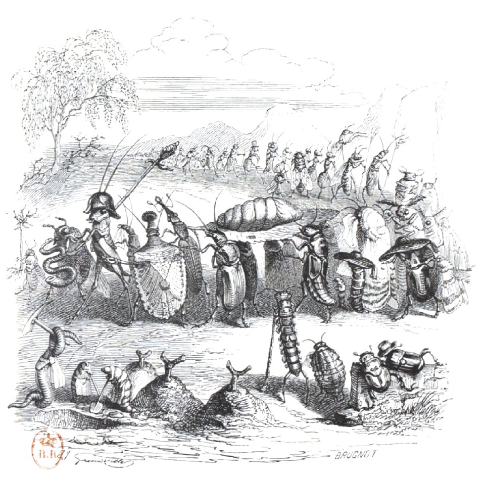 Scènes de la vie privée et publique des animaux, tome 2 0588