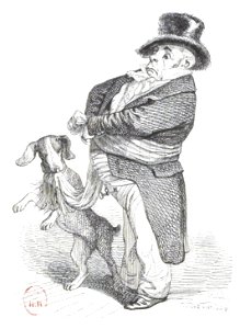 Scènes de la vie privée et publique des animaux, tome 1 0435