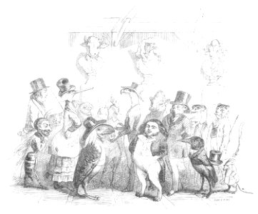 Scènes de la vie privée et publique des animaux, tome 1 0482