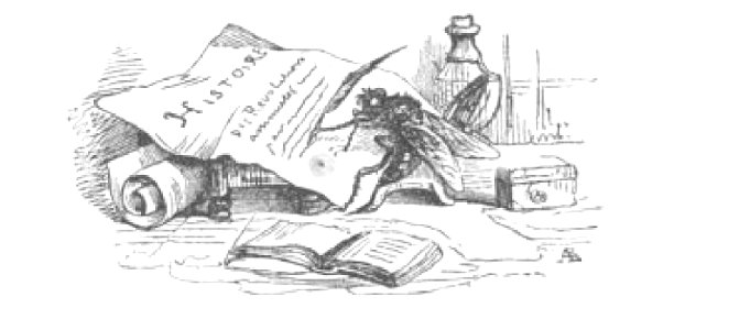 Scènes de la vie privée et publique des animaux, tome 1 0009