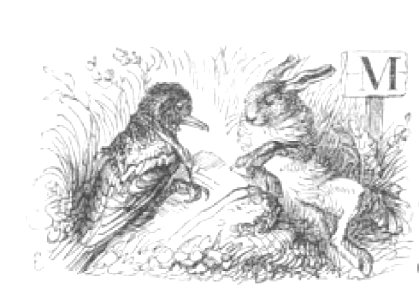 Scènes de la vie privée et publique des animaux, tome 1 0079