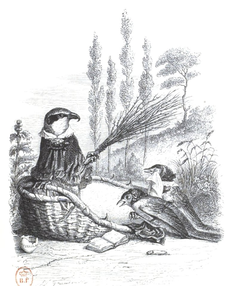 Scènes de la vie privée et publique des animaux, tome 2 0345