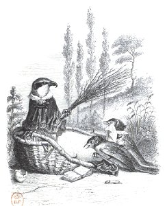 Scènes de la vie privée et publique des animaux, tome 2 0345