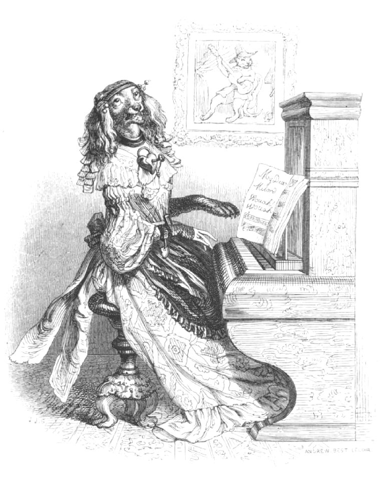 Scènes de la vie privée et publique des animaux, tome 1 0172