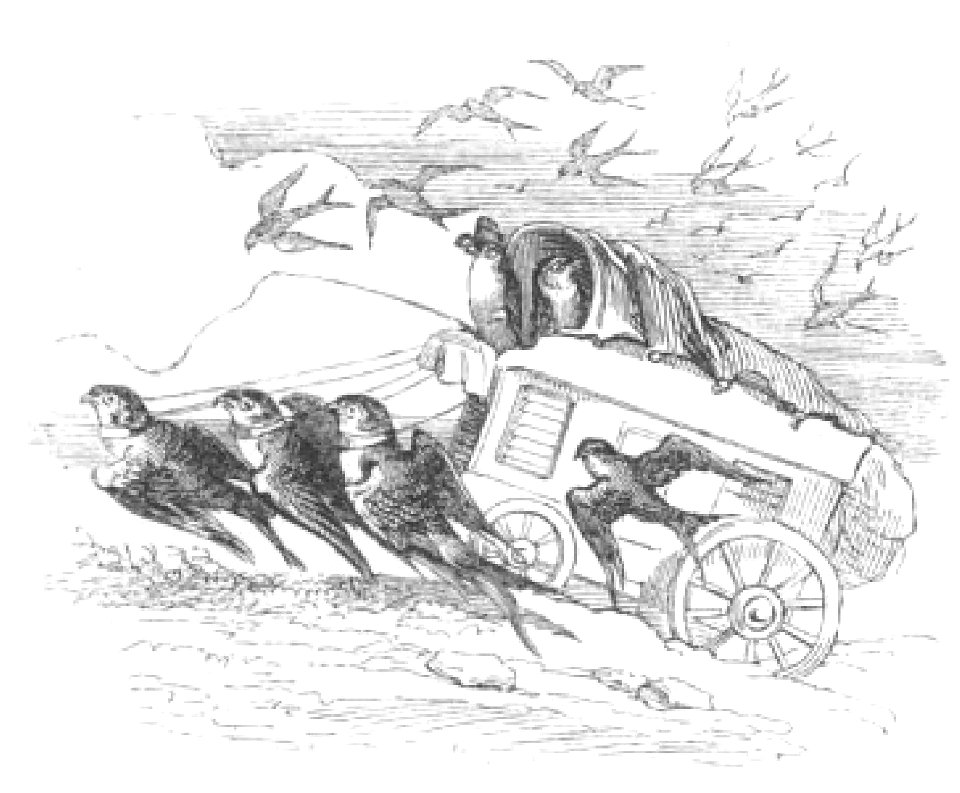 Scènes de la vie privée et publique des animaux, tome 2 0313