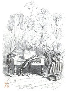 Scènes de la vie privée et publique des animaux, tome 2 0211
