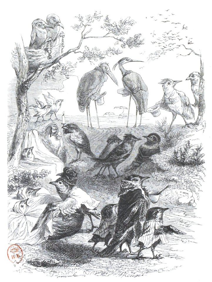 Scènes de la vie privée et publique des animaux, tome 2 0556