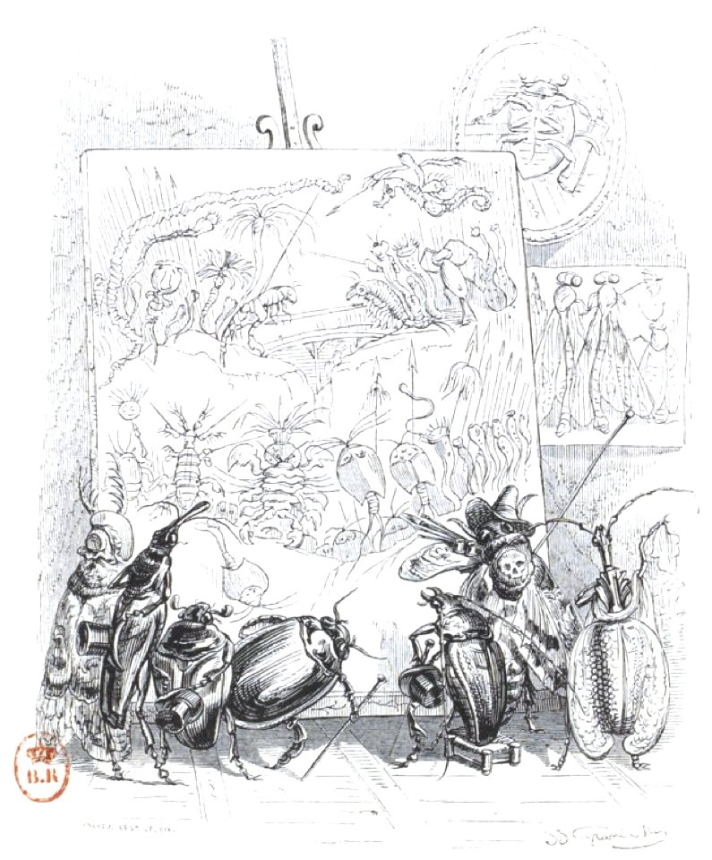 Scènes de la vie privée et publique des animaux, tome 2 0219