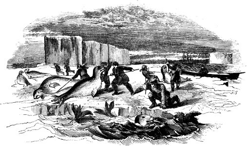 Seal hunting-Voyage Southern and Antarctic Regions-2-1847-0047