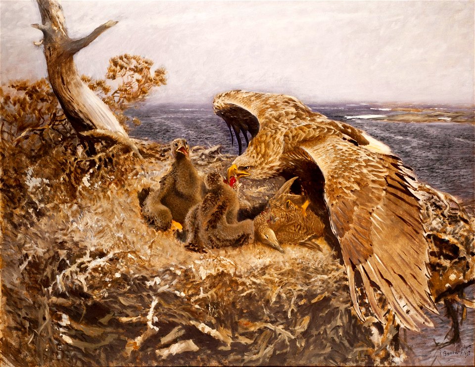 Sea Eagle's Nest (Bruno Liljefors) - Nationalmuseum - 18654